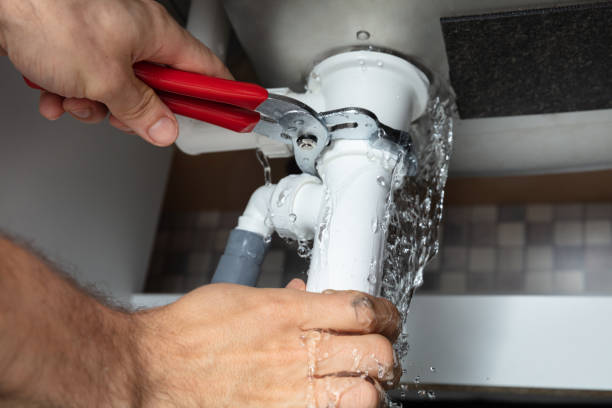 Best Flooded house restoration  in Picacho Hills, NM