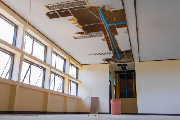 Best Water damage restoration specialists  in Picacho Hills, NM