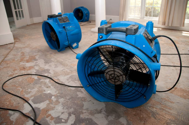 Best Water damage restoration near me  in Picacho Hills, NM