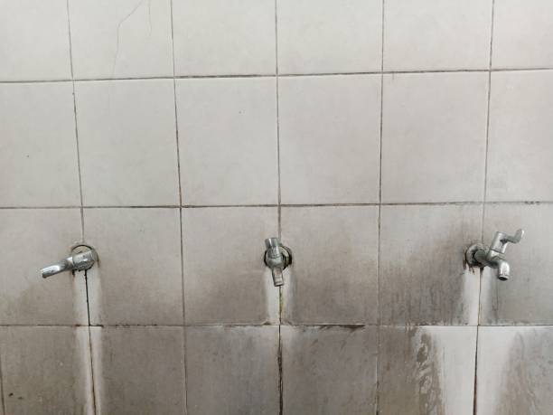 Carpet water damage restoration in Picacho Hills, NM