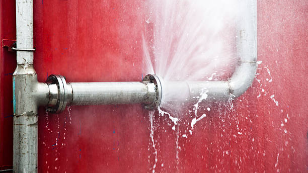 Best Water damage cleanup near me  in Picacho Hills, NM